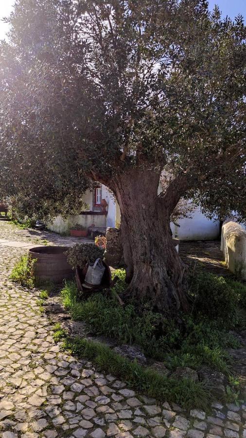 Ancos Little House -Sintra Countryside- Villa Montelavar Luaran gambar